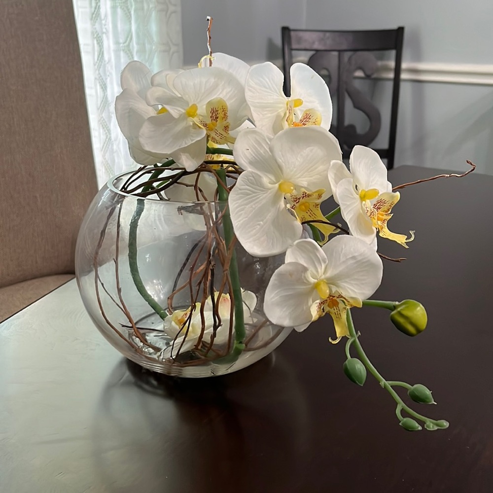 Orchid flowers